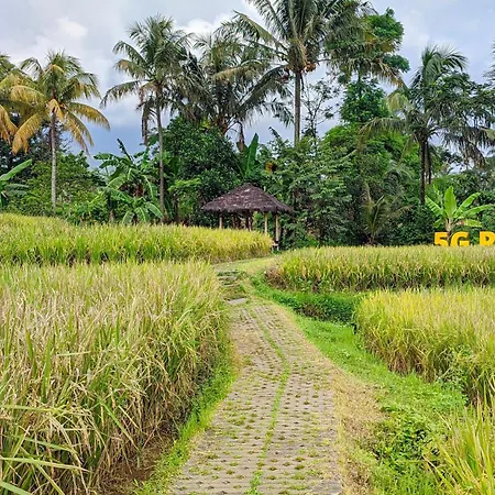 5G Resort Cijeruk-3